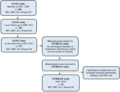 Associations of physical fitness with cortical inhibition and excitation in adolescents and young adults